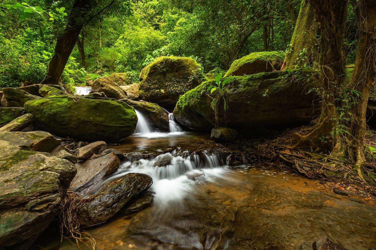 Platanillo Cascada Elysiana 빌라 외부 사진